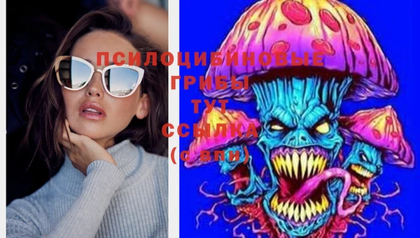 мяу мяу мука Кинешма