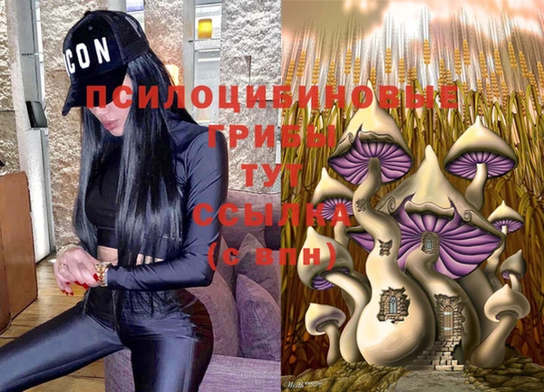 мяу мяу мука Кинешма