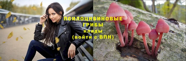 мяу мяу мука Кинешма